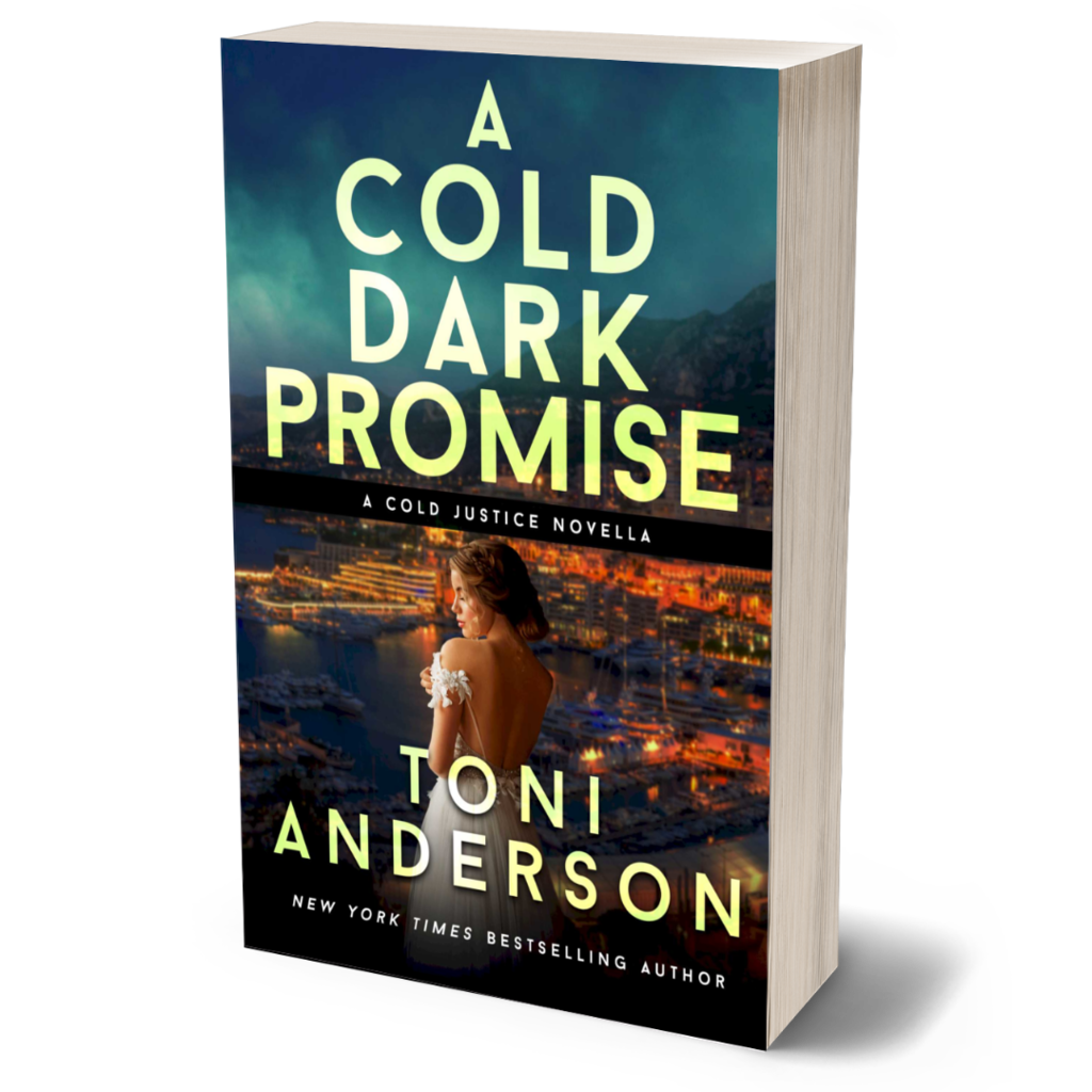 A Cold Dark Promise Romantic Thriller paperback by Toni Anderson